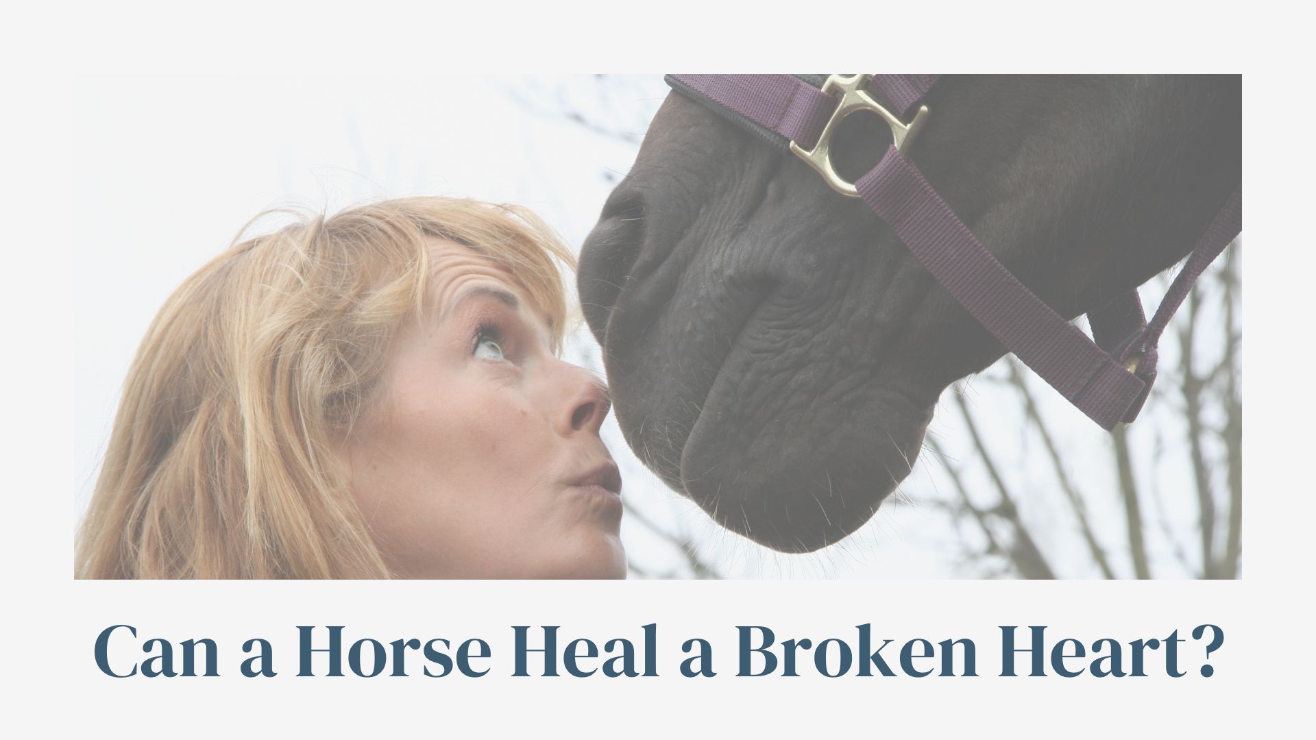 Horse Heart Math